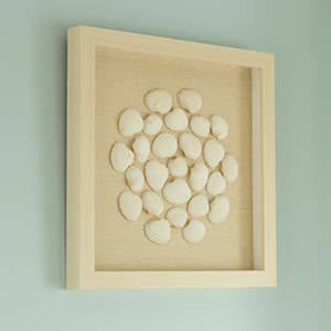 Coastal whitewash shadowbox picture frame with natural linen backing displaying white seashell collection arranged in circular pattern on sage green wall demonstrating professional beach memorabilia shadowbox framing for seashell displays vacation keepsakes coastal decor and beach house wall art using shabby chic cream-white wood finish