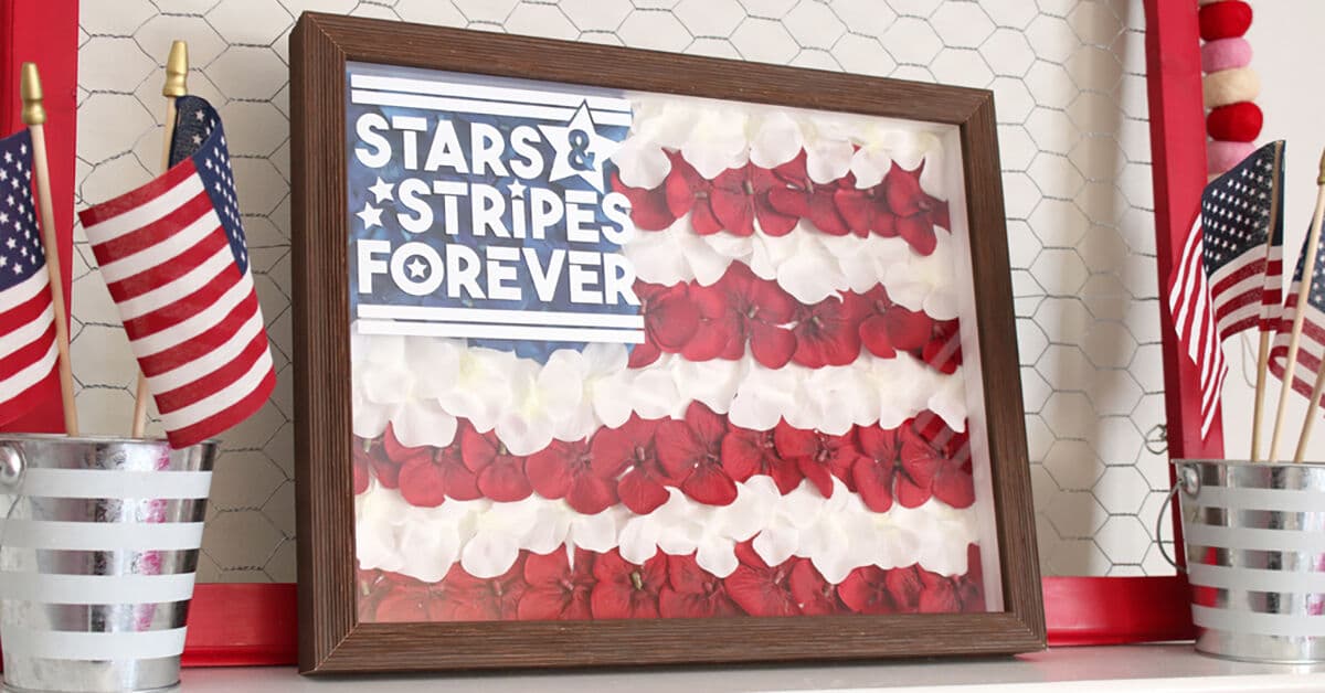 Charcoal Satin Deep Shadowbox frame displaying preserved rose petals arranged in American flag stripes with Stars and Stripes Forever patriotic tribute text. Custom 1 inch wide picture frame with 1 inch depth designed for patriotic floral art, Veterans Day tributes, and Fourth of July keepsake displays. Deep shadowbox frames a strong choice for preserved flower arrangements, military family décor, and holiday floral preservation.