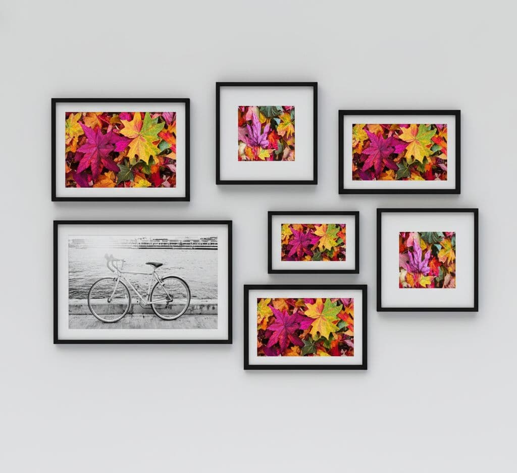 Modern Black Frame in dynamic gallery wall composition mixing autumn leaves photography with black and white bicycle art creating cohesive modern display