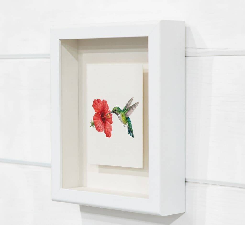 White shadowbox picture frame with 0.75 inch clean moulding displaying delicate hummingbird and hibiscus flower artwork on dimensional card stock demonstrating 0.875 inch usable depth for nature illustration displays botanical artwork and custom framed dimensional art prints in gallery-style shadow boxes