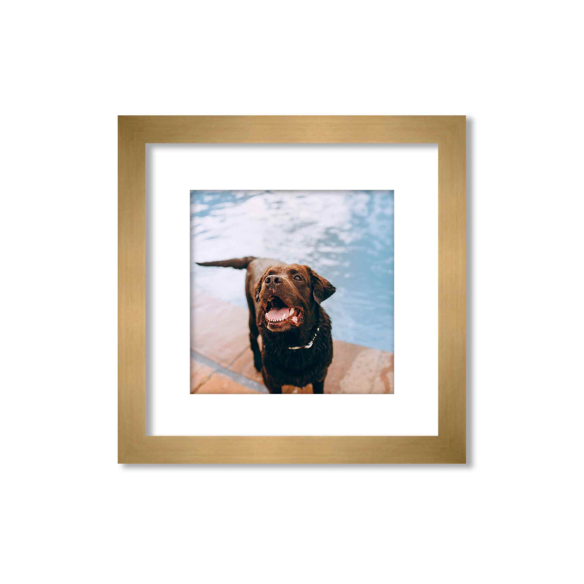 Gold Matted Instagram Photo Frames
