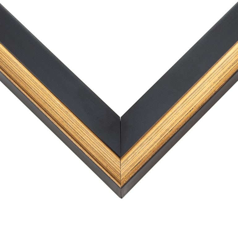 Contemporary Gold And Black Floater Frame