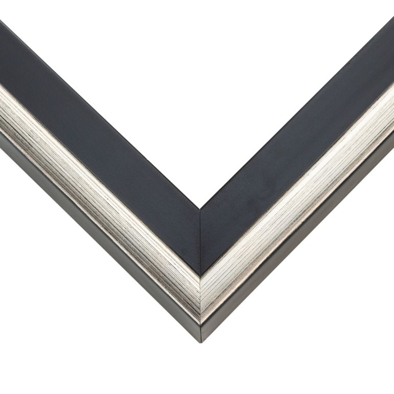 Contemporary Silver And Black Floater Frame