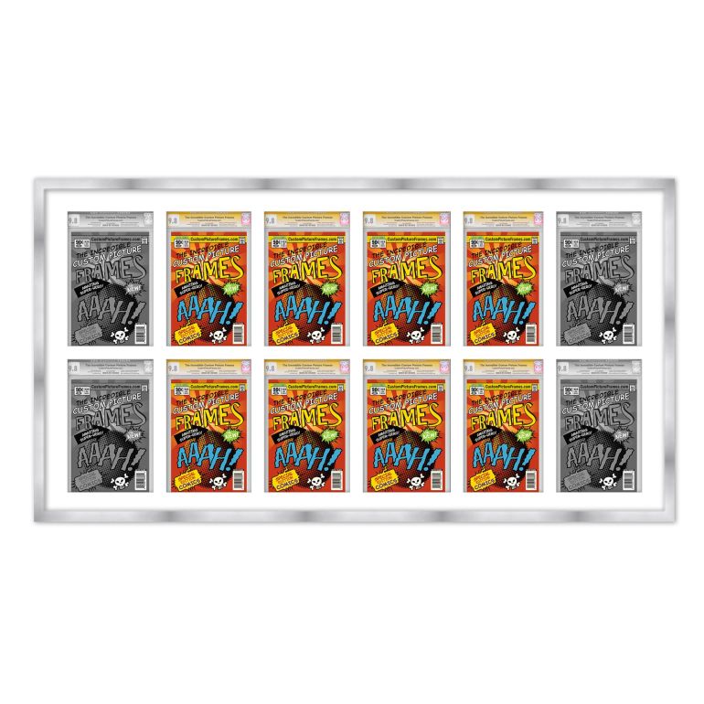 Silver Graded Comic Book Frame for 12 Comic Books