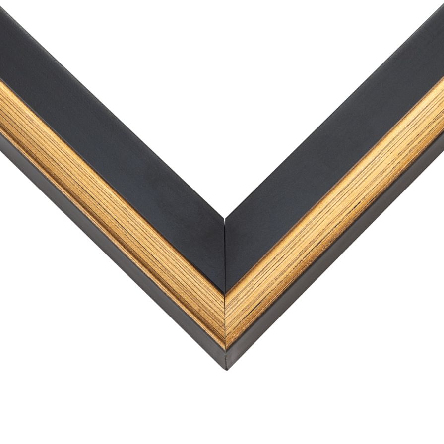 Contemporary Gold And Black Floater Frame