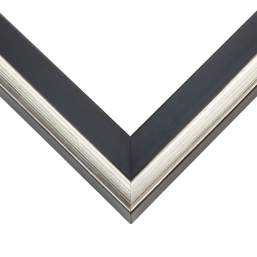 Contemporary Silver And Black Floater Frame