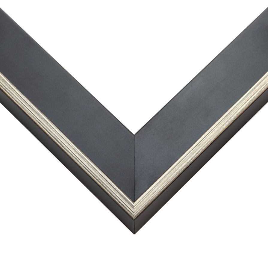 Thin Contemporary Silver And Black Floater Frame