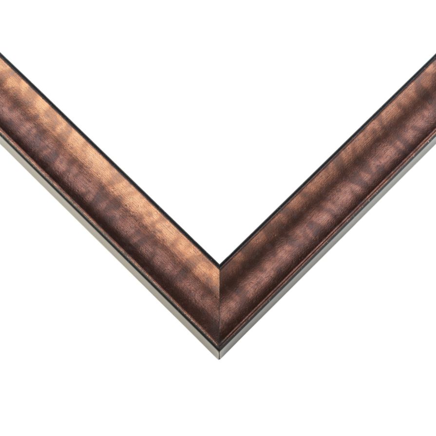 Bronze Shell Picture Frame