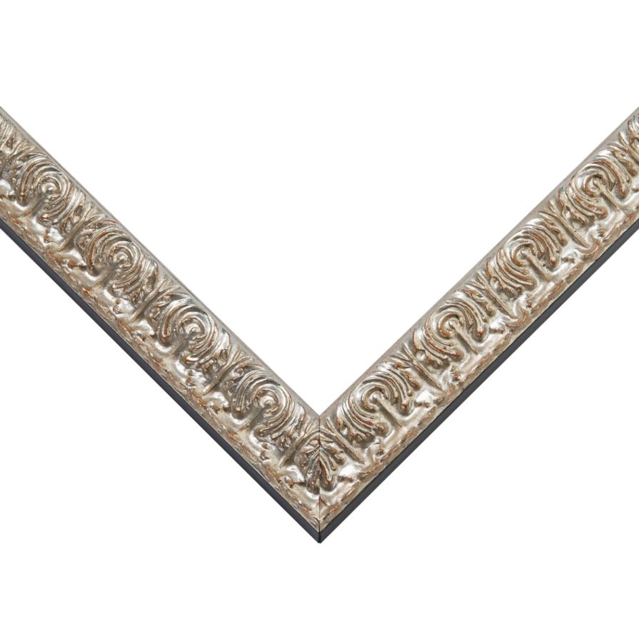 Ornate Silver Picture Frame