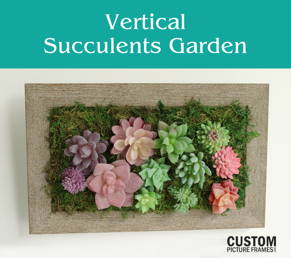Vertical Succulent Garden
