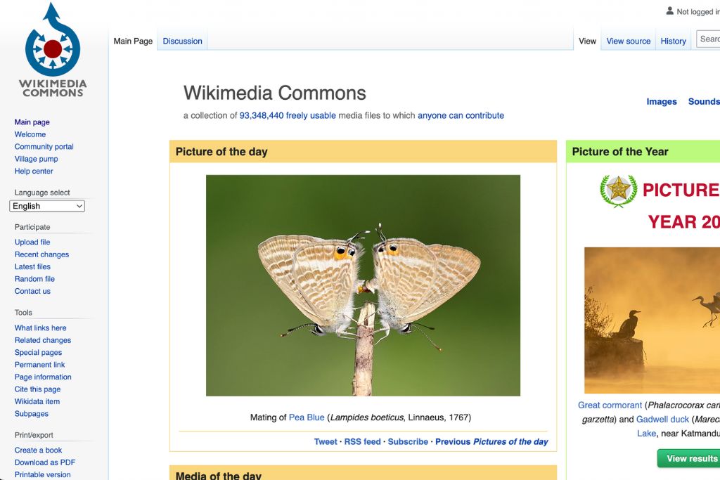 Wikimedia Commons Public Domain Art