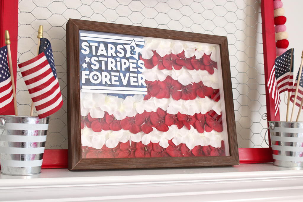 American Flag Cricut Shadow Box