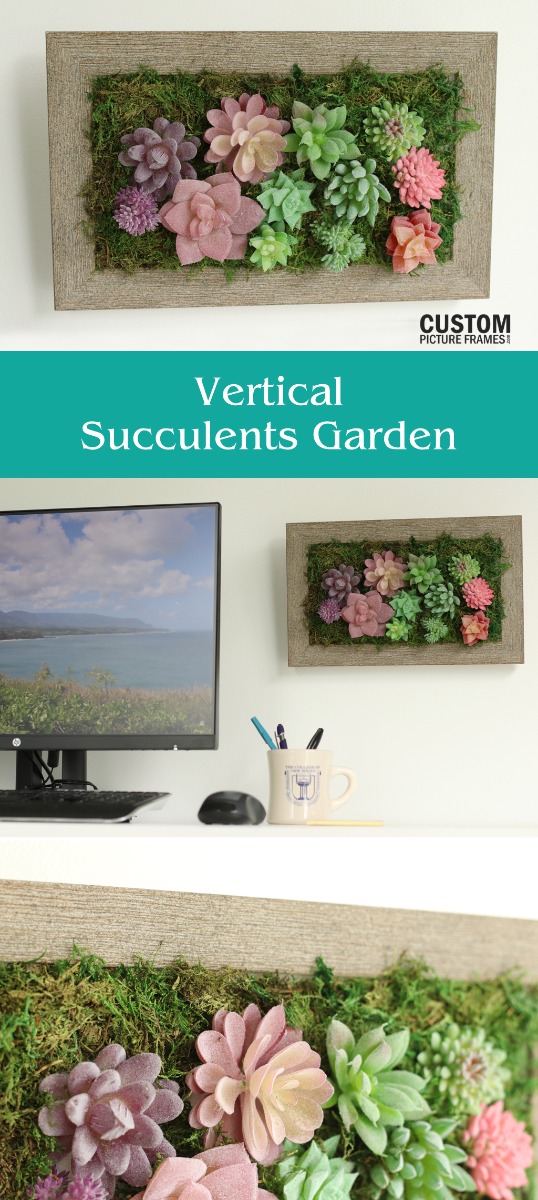 Vertical Succulent Garden Pinterest